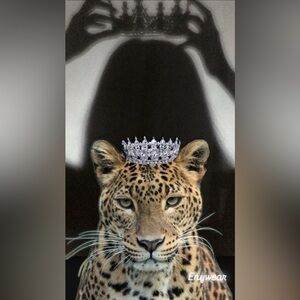 🌟UNLISTED INVENTORY FOR
A POSH LIVE SHOW💫🖤